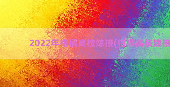 2022年柑橘高桉嫁接(柑橘高枝嫁接技术)