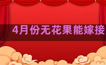 4月份无花果能嫁接吗吗