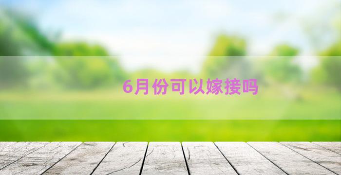 6月份可以嫁接吗