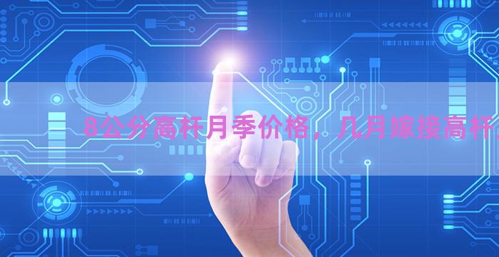 8公分高杆月季价格，几月嫁接高杆月季