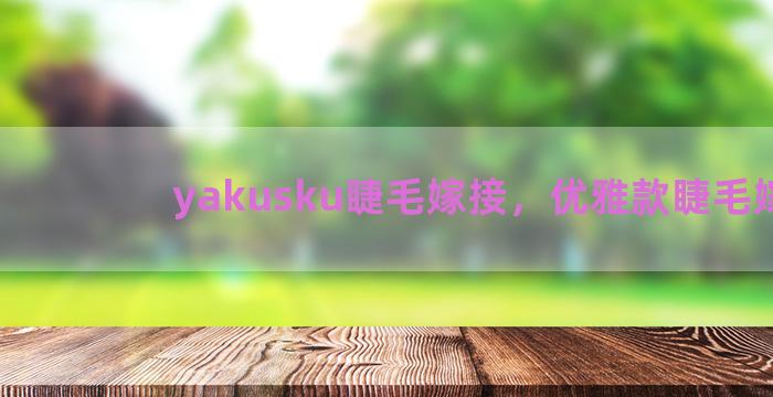 yakusku睫毛嫁接，优雅款睫毛嫁接