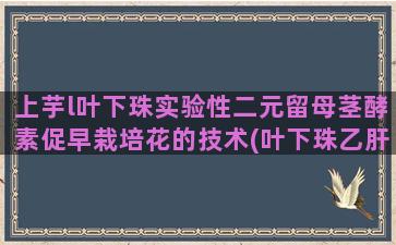 上芋l叶下珠实验性二元留母茎酵素促早栽培花的技术(叶下珠乙肝实验)