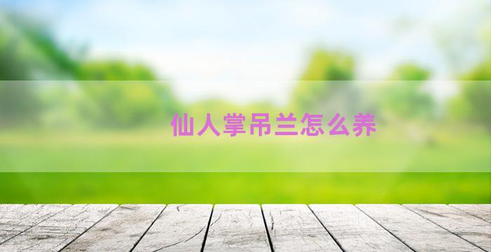 仙人掌吊兰怎么养