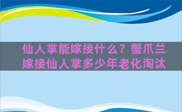 仙人掌能嫁接什么？蟹爪兰嫁接仙人掌多少年老化淘汰