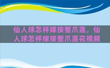 仙人球怎样嫁接蟹爪莲，仙人球怎样嫁接蟹爪莲花视频