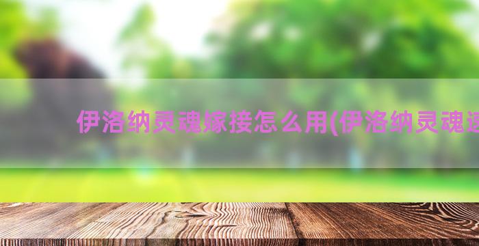 伊洛纳灵魂嫁接怎么用(伊洛纳灵魂速刷)