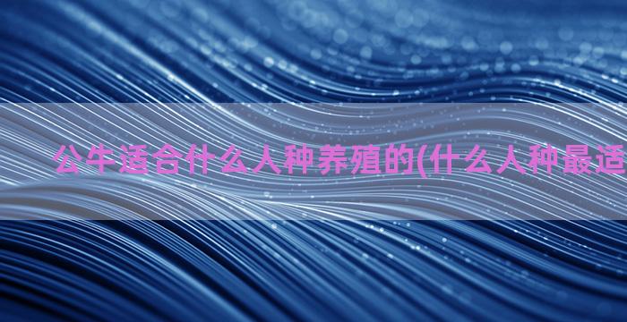 公牛适合什么人种养殖的(什么人种最适合踢足球)