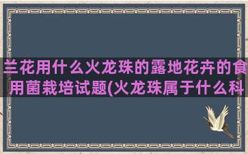 兰花用什么火龙珠的露地花卉的食用菌栽培试题(火龙珠属于什么科)