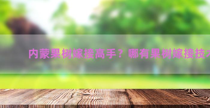 内蒙果树嫁接高手？哪有果树嫁接技术师傅