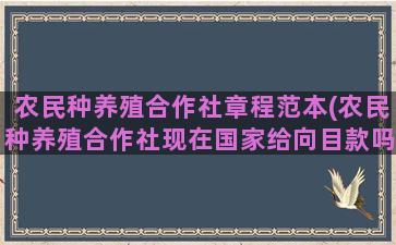 农民种养殖合作社章程范本(农民种养殖合作社现在国家给向目款吗)