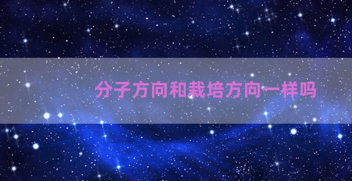 分子方向和栽培方向一样吗