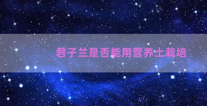 君子兰是否能用营养土栽培