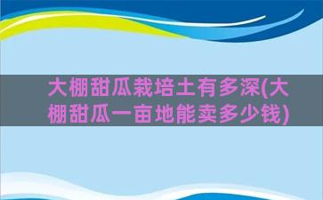 大棚甜瓜栽培土有多深(大棚甜瓜一亩地能卖多少钱)