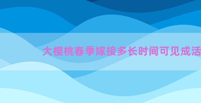 大樱桃春季嫁接多长时间可见成活