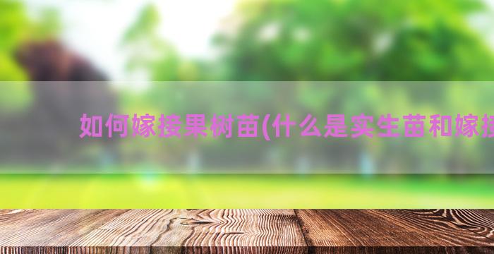 如何嫁接果树苗(什么是实生苗和嫁接苗)