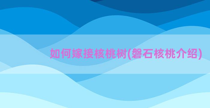 如何嫁接核桃树(磐石核桃介绍)