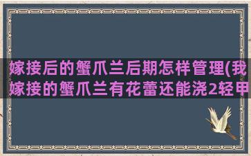 嫁接后的蟹爪兰后期怎样管理(我嫁接的蟹爪兰有花蕾还能浇2轻甲水吗)