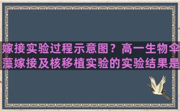 嫁接实验过程示意图？高一生物伞藻嫁接及核移植实验的实验结果是什么不是结论