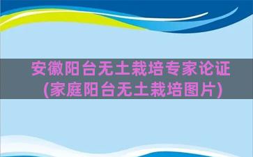 安徽阳台无土栽培专家论证(家庭阳台无土栽培图片)