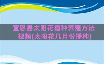 宣恩县太阳花播种养殖方法视频(太阳花几月份播种)