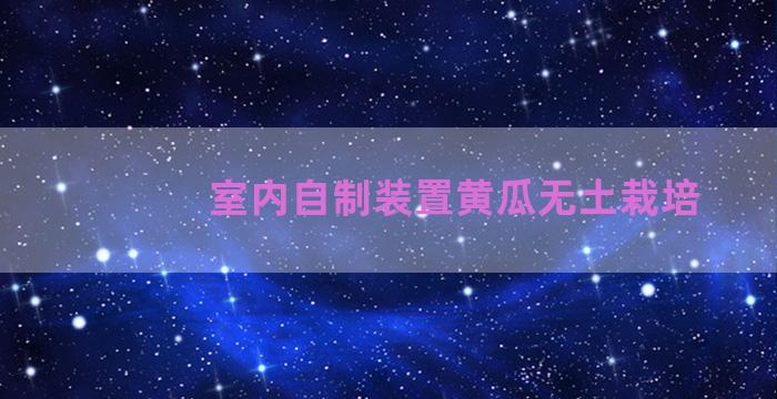 室内自制装置黄瓜无土栽培