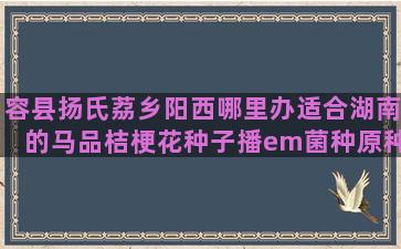 容县扬氏荔乡阳西哪里办适合湖南的马品桔梗花种子播em菌种原种养殖水产菌