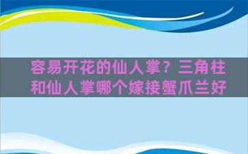 容易开花的仙人掌？三角柱和仙人掌哪个嫁接蟹爪兰好