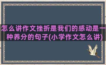 怎么讲作文挫折是我们的感动是一种养分的句子(小学作文怎么讲)