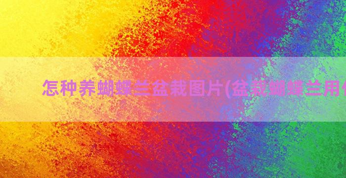 怎种养蝴蝶兰盆栽图片(盆栽蝴蝶兰用什么土)