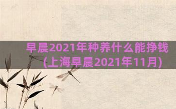 早晨2021年种养什么能挣钱(上海早晨2021年11月)