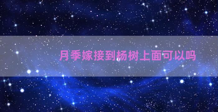 月季嫁接到杨树上面可以吗