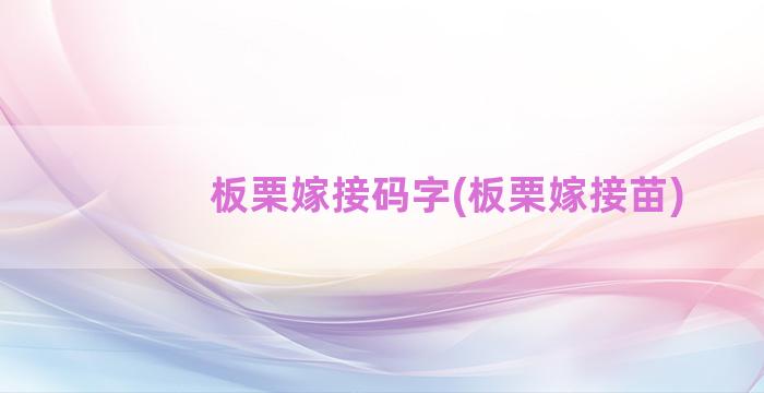 板栗嫁接码字(板栗嫁接苗)