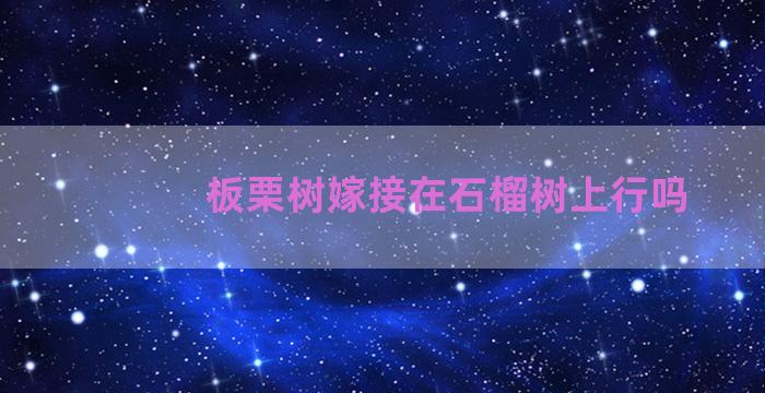 板栗树嫁接在石榴树上行吗