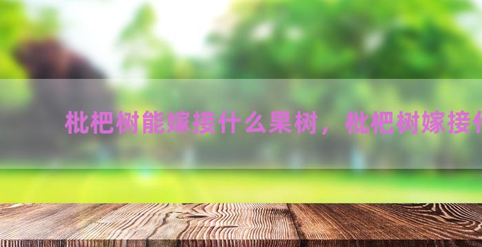 枇杷树能嫁接什么果树，枇杷树嫁接什么树