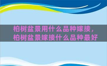 柏树盆景用什么品种嫁接，柏树盆景嫁接什么品种最好