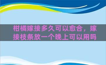 柑橘嫁接多久可以愈合，嫁接枝条放一个晚上可以用吗