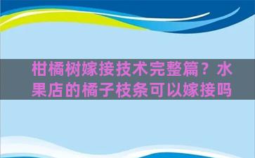 柑橘树嫁接技术完整篇？水果店的橘子枝条可以嫁接吗