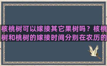 核桃树可以嫁接其它果树吗？核桃树和桃树的嫁接时间分别在农历的几月份