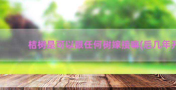 桔树是可以跟任何树嫁接嘛(后几年开花)