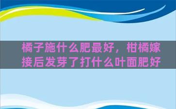 橘子施什么肥最好，柑橘嫁接后发芽了打什么叶面肥好