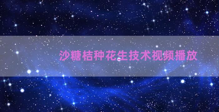 沙糖桔种花生技术视频播放