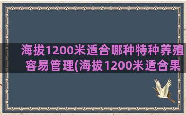 海拔1200米适合哪种特种养殖容易管理(海拔1200米适合果树)