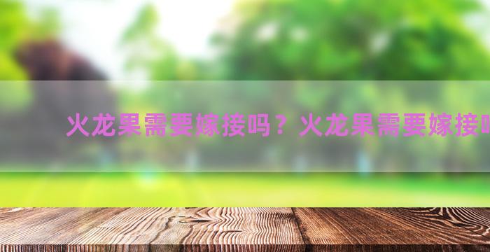 火龙果需要嫁接吗？火龙果需要嫁接吗视频