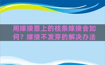 用嫁接苗上的枝条嫁接会如何？嫁接不发芽的解决办法