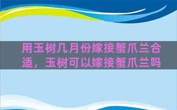 用玉树几月份嫁接蟹爪兰合适，玉树可以嫁接蟹爪兰吗