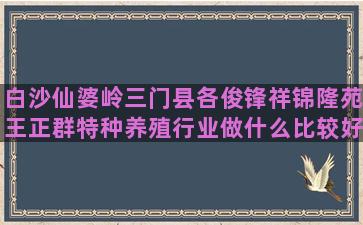 白沙仙婆岭三门县各俊锋祥锦隆苑王正群特种养殖行业做什么比较好