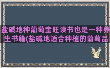 盐碱地种葡萄奎旺读书也是一种养生书籍(盐碱地适合种植的葡萄品种)