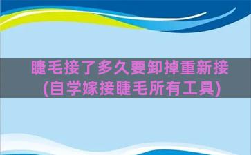 睫毛接了多久要卸掉重新接(自学嫁接睫毛所有工具)