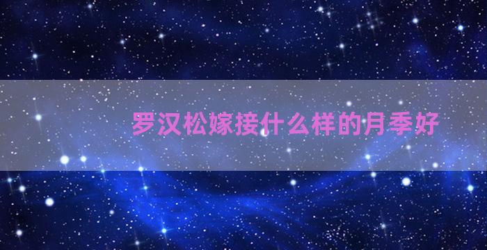 罗汉松嫁接什么样的月季好