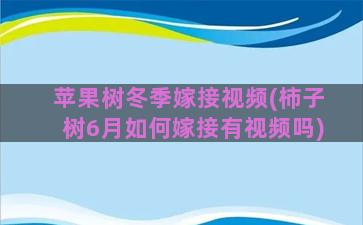 苹果树冬季嫁接视频(柿子树6月如何嫁接有视频吗)